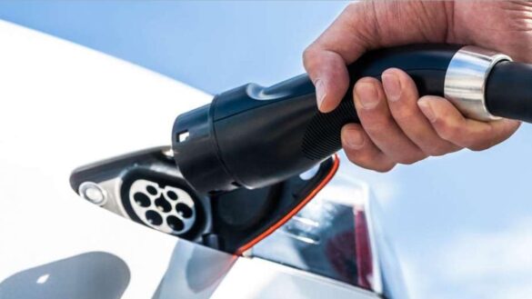 EV Investment bank results
